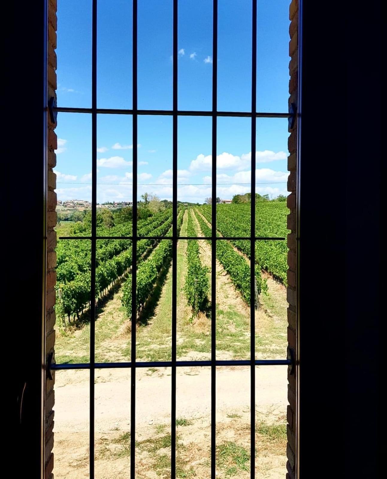 Agriturismo Il Divin Casale Torgiano Extérieur photo