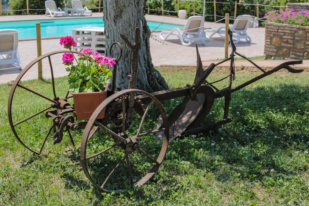 Agriturismo Il Divin Casale Torgiano Extérieur photo